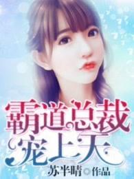 霸道总裁宠上天全文免费阅读全文