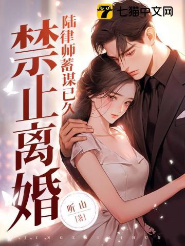 禁止离婚陆律师蓄谋已久百度
